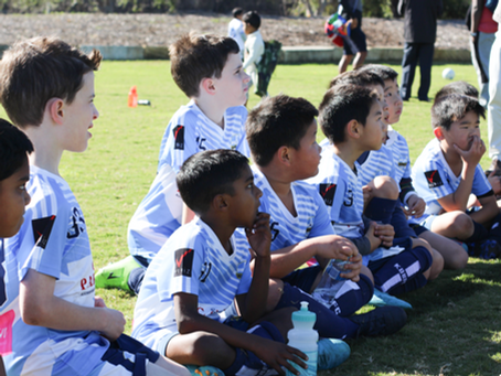 The 2024 season has begun.