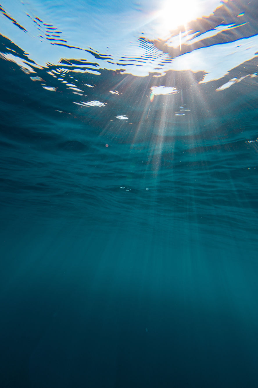 beautiful-scenery-fascinating-underwater-world-island-bonaire-caribbean.jpg