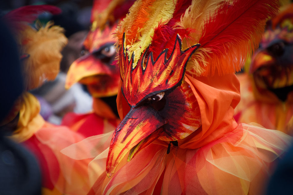Fasnacht participants in colorful bird costumes with feathered masks, species not identifiable.