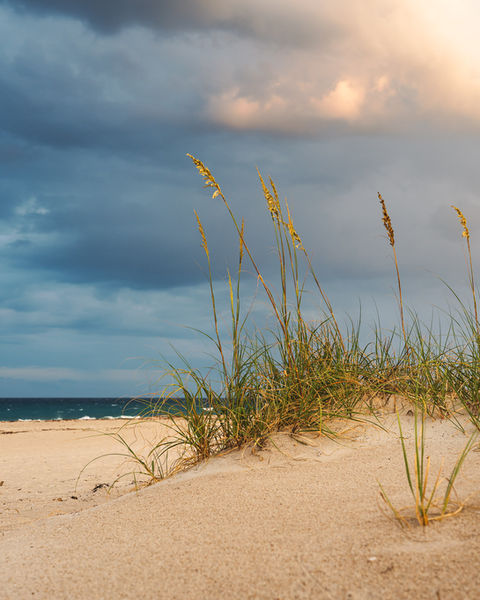 Palm Beach Grassy Dunes: Florida Beach, Sunset, and Storm Clouds - Landscape Photograph