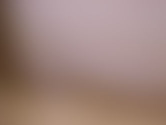 How to Banish Ceiling Water Stains: A Comprehensive Guide