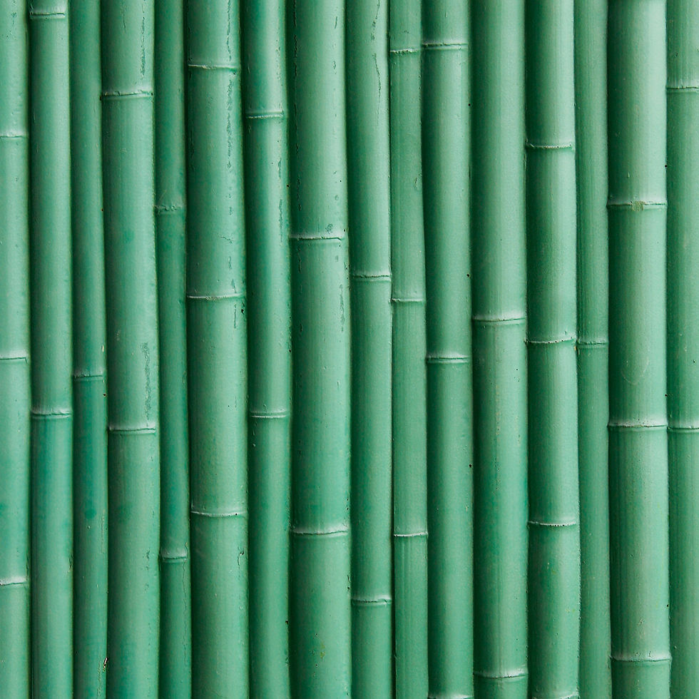 STONIKO Bamboo Stone surface mimicking slender bamboo stalks with characteristic node rings.