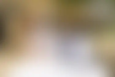 Building a Healthier and Greener Tomorrow 