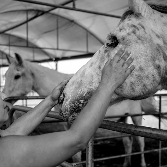 22 Dying for life by Lior kish shaul 2021 - Lior Kish.jpg