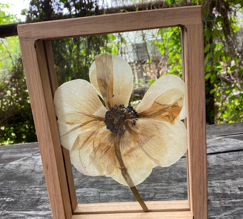 Thumbnail: Pressed Frames