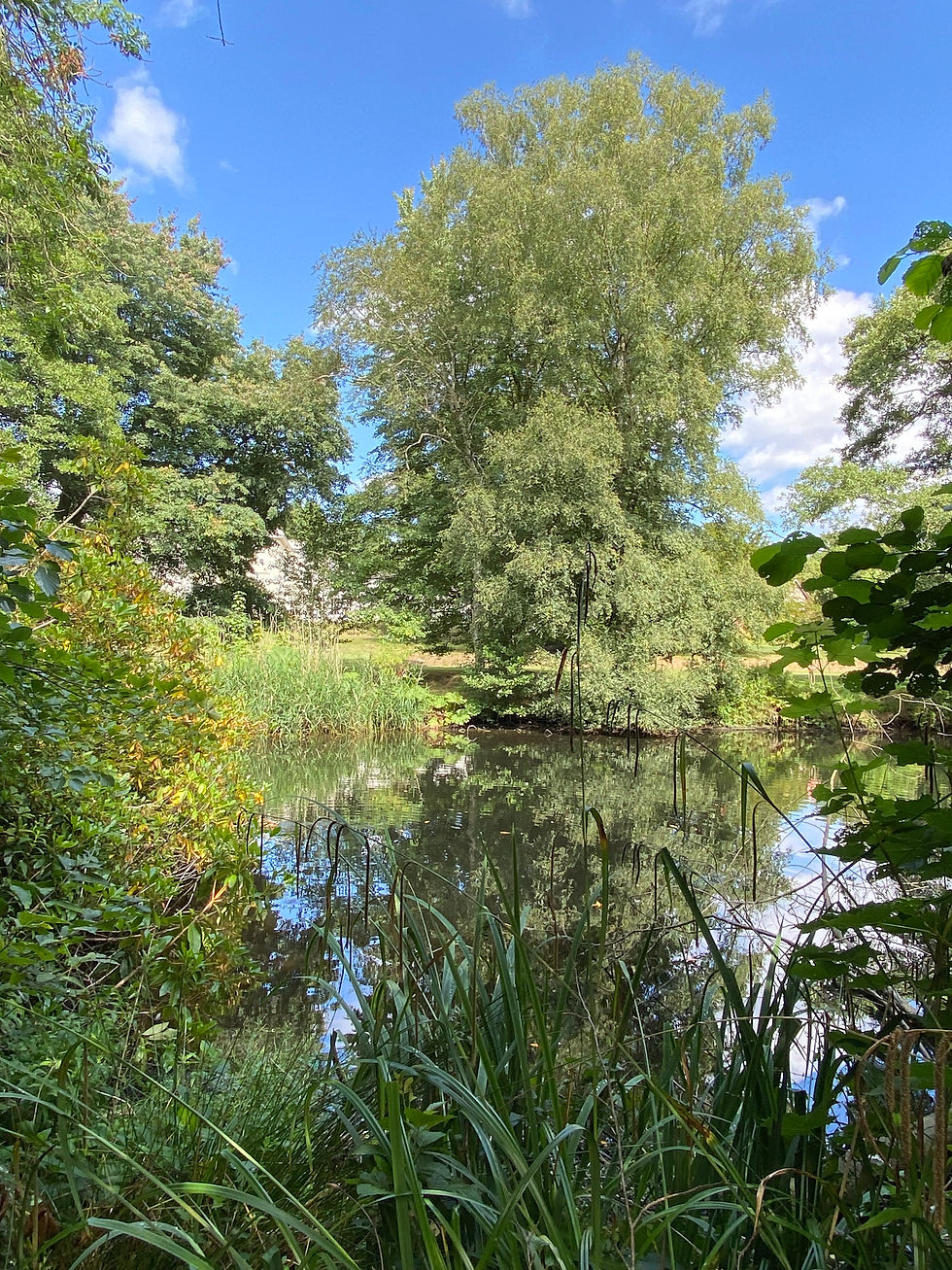 Window view of the lake helping you to relax at Woodbrooke Clinic, Bournville.