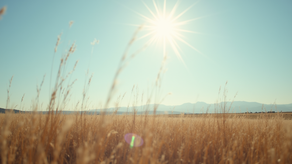 The Impact of Clarity on Leadership and Identity