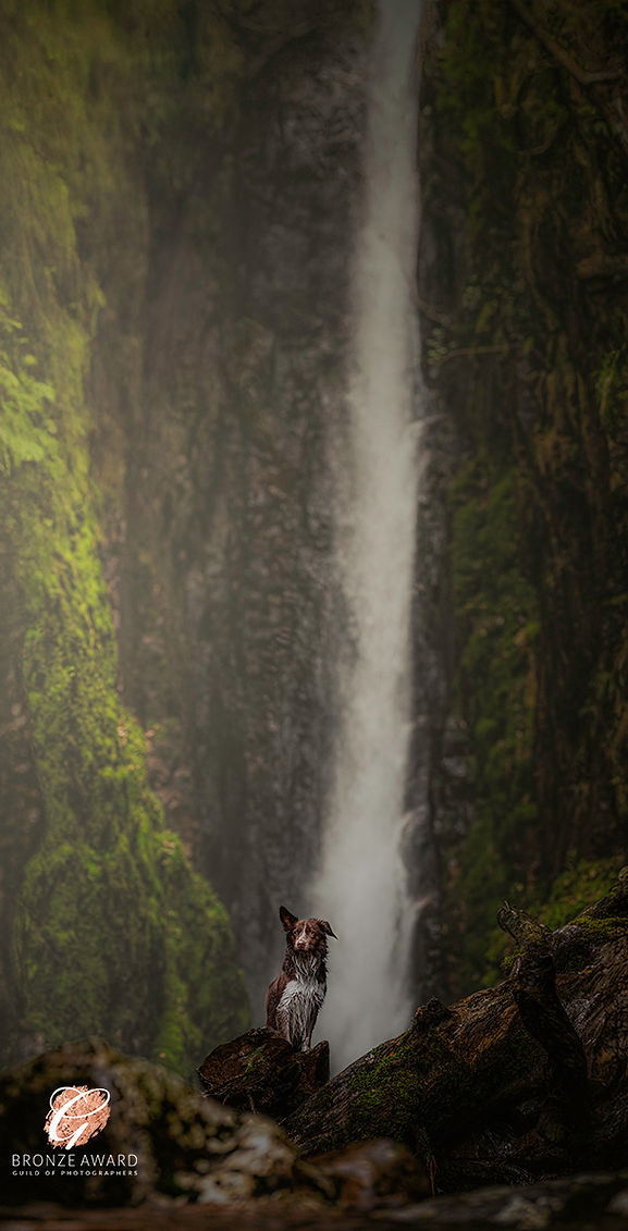 Theo - Bronze Award (2).jpg