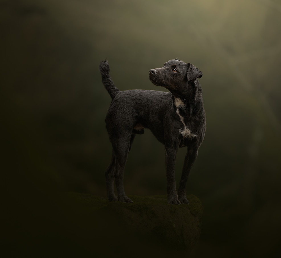 Oreo [Sneak Peek].jpg