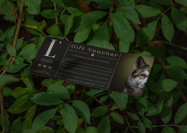 Gift Voucher 02.jpg