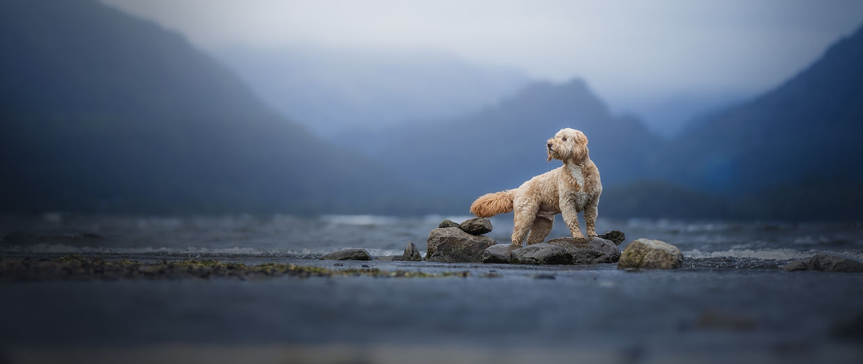 Alfie - Collective Member - 2026 - Keswick - LR 01.jpg