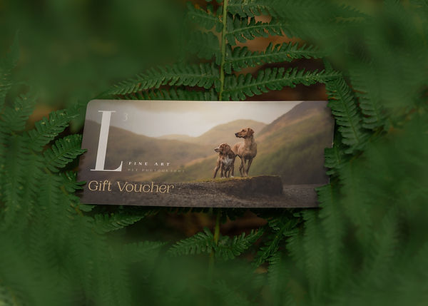 Gift Voucher 03.jpg