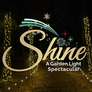 Shine_Event.png