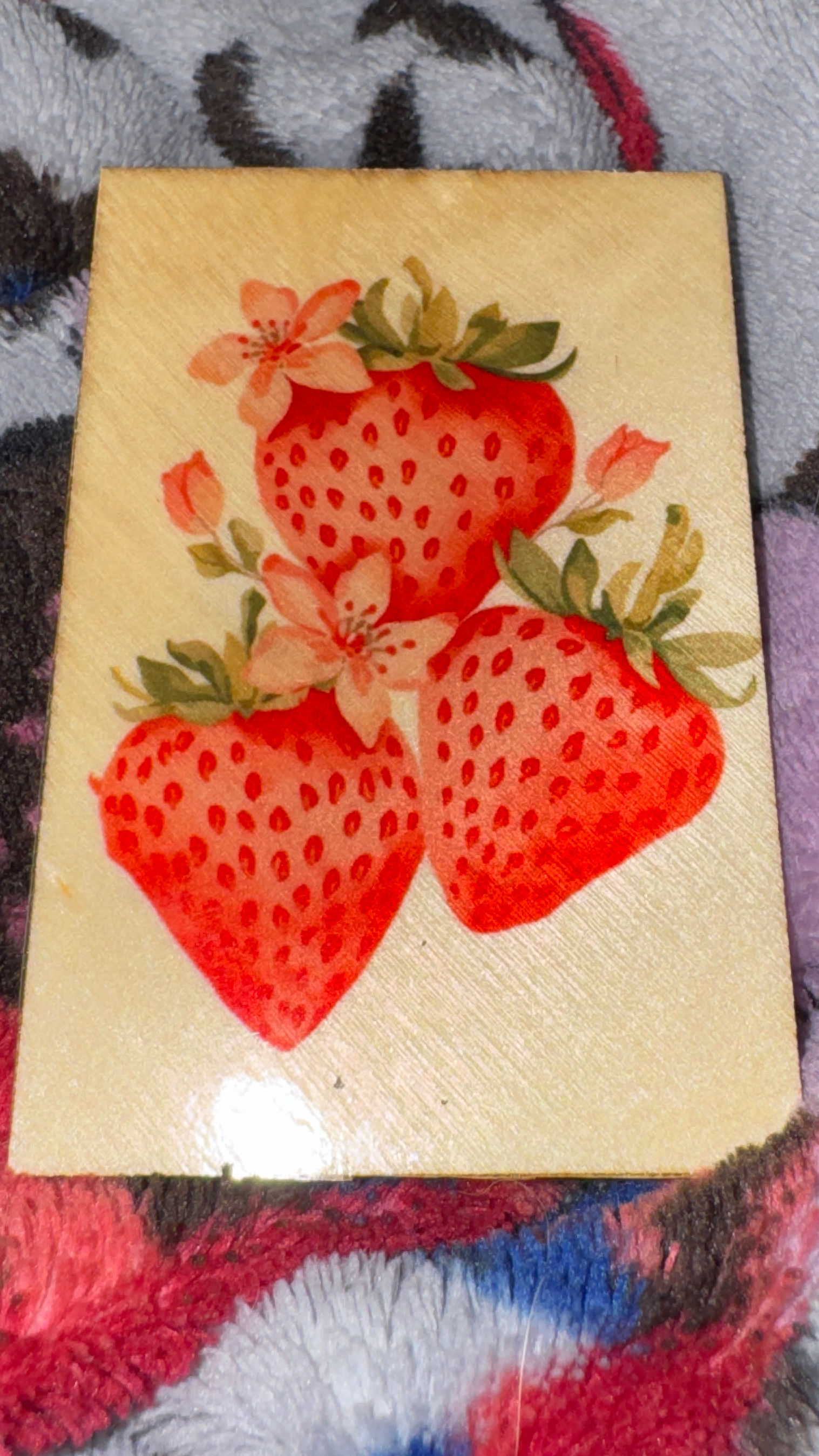 Strawberries Scene - fridge magnet