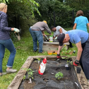 Community Garden Aids Fresh Food Access