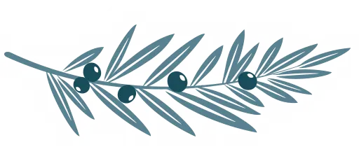 logo-separator.webp