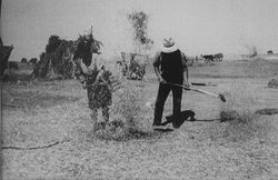 Domingo y Margarita limpiando