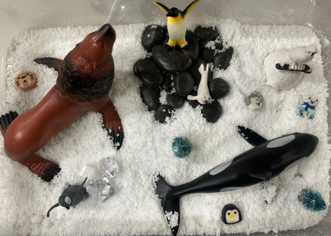 Arctic Sensory Bin
