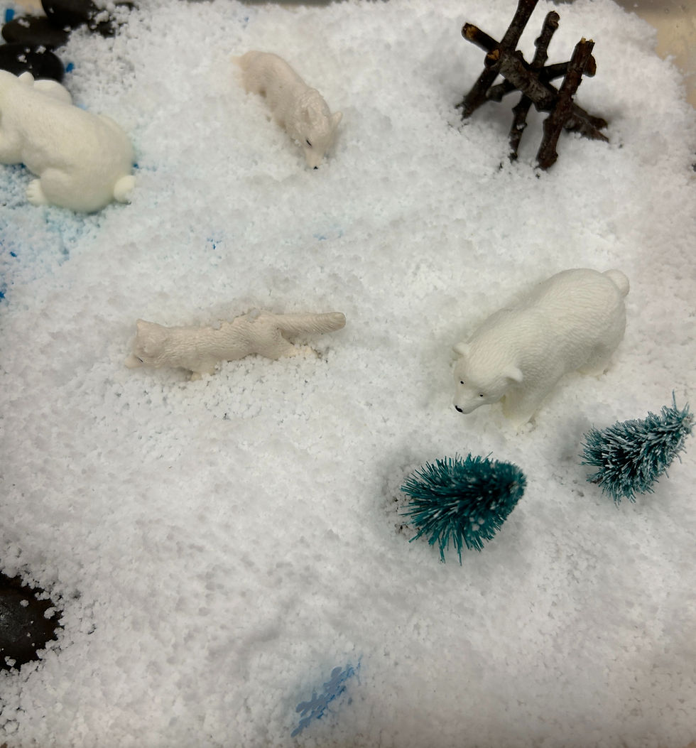 Thumbnail: Arctic Sensory Bin