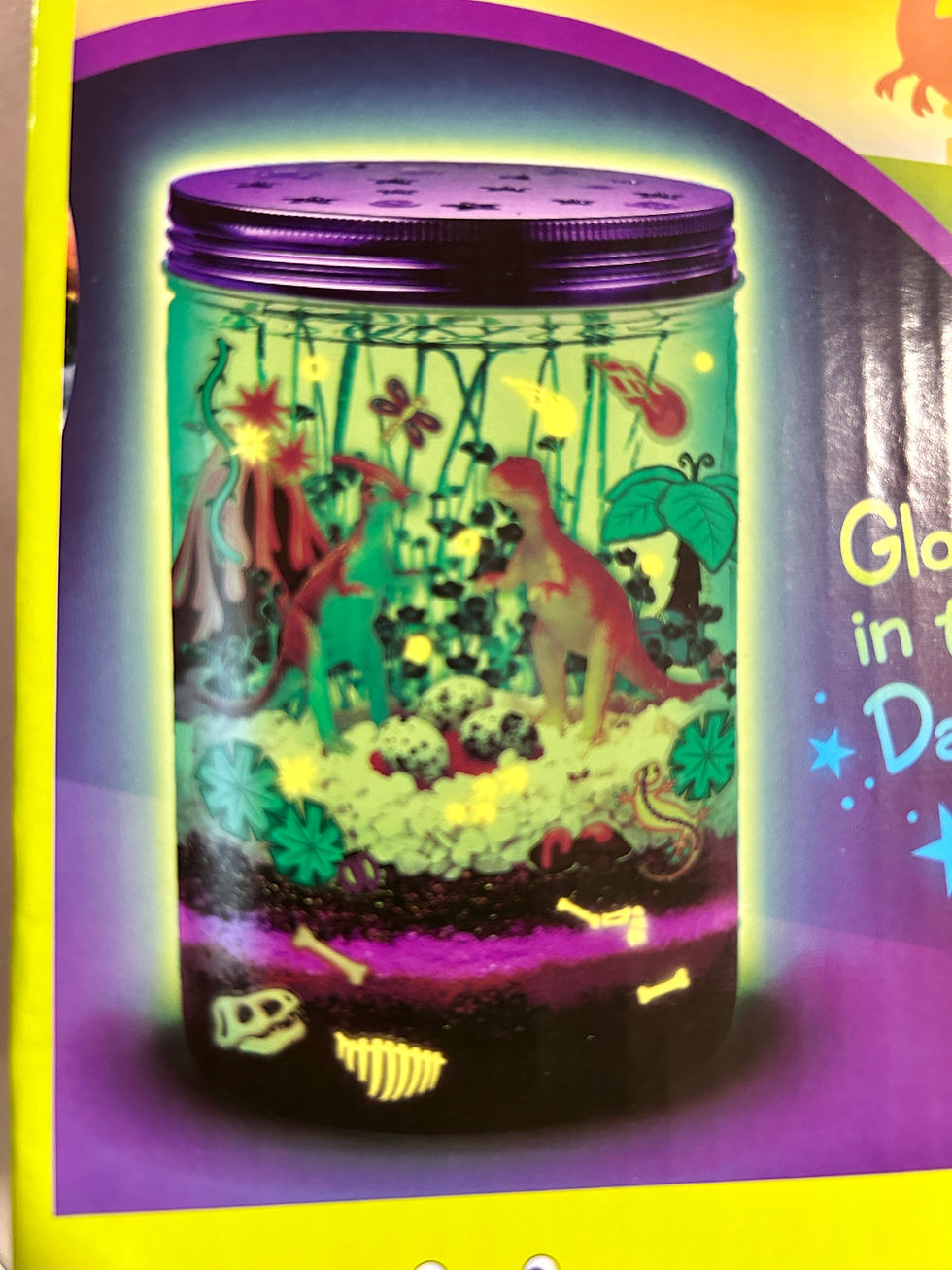 Thumbnail: Grow N' Glow Terrarium