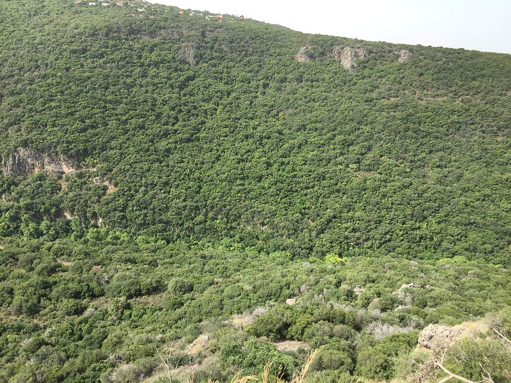 תצפית לעבר מצפה הילה