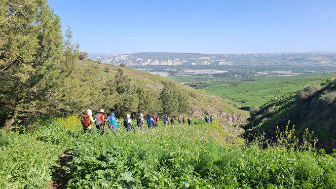 נשים מטיילות בשטח והכל סביב ירוק