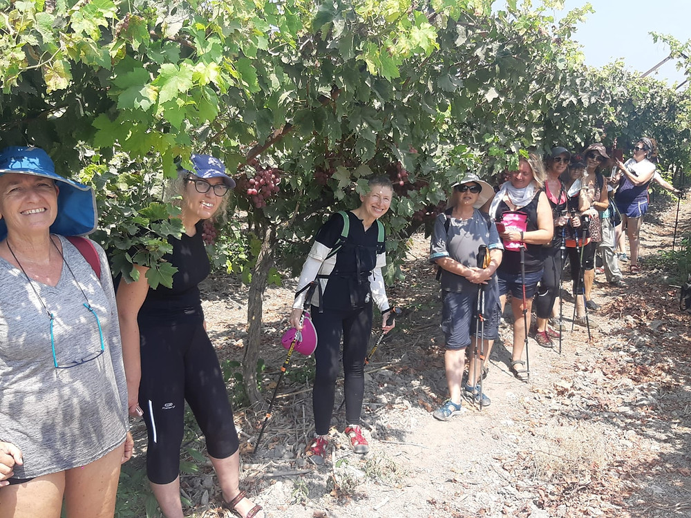 מאירות שביל ישראל בנחל תנינים