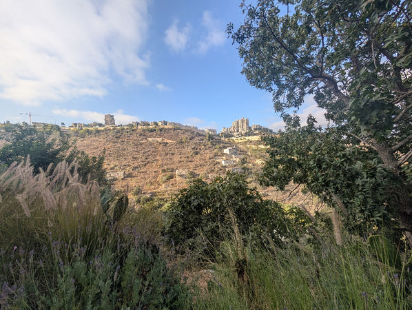 נוף הרי ירושלים