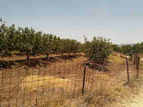מאירות שביל ישראל בנחל הבניאס