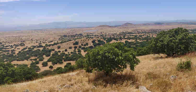 מאירות שביל ישראל ברכס בשנית