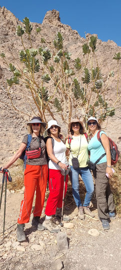 נשים מטיילות בהרי אילת