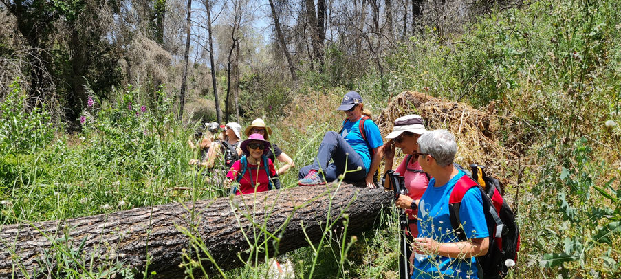 מאירות שביל ישראל 2 מסלול 58 בגליל התחתון