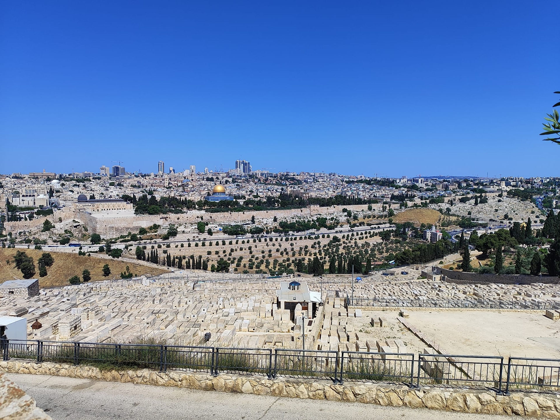 הוף הר הזיתים בירושלים