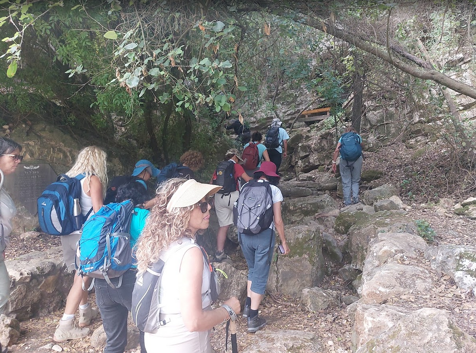 קבוצת מטיילות עם תרמילים עולה בשביל סלעי ביער צפוף, בין עצים וצל, באווירת טיול רגועה