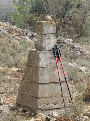 מקלות הליכה