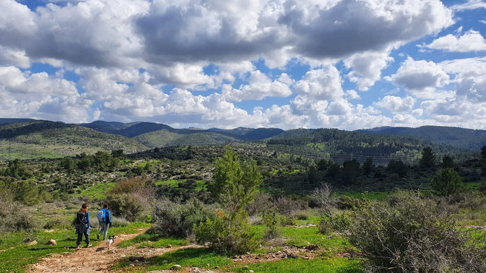 ענני חורף ושמש בעמק איילון
