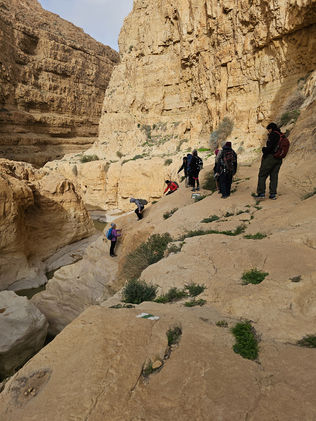 מטיילות חוצות גבים בנחל צאלים