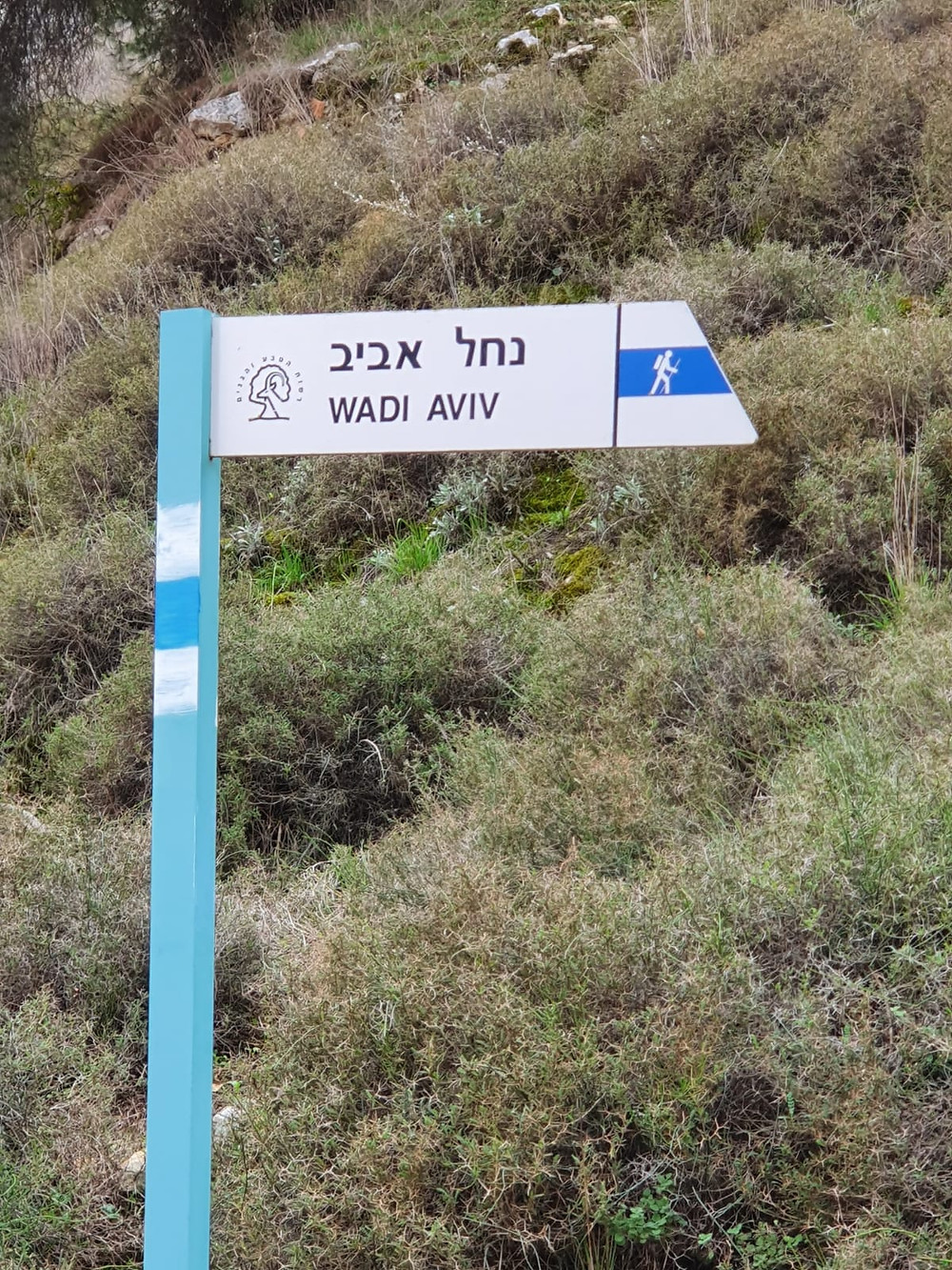 מאירות שביל ישראל נשים מטיילות יחד