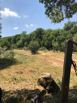 WhatsApp Image 2017-05-13 at 09.59.09