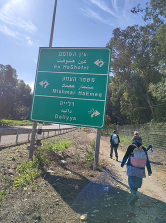 נשים מטיילות הולכות לצידי כביש ליד עין השופט