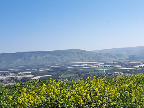 נוף הרים בריכות מים וצמחים צהובים