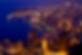 monaco night.jpg