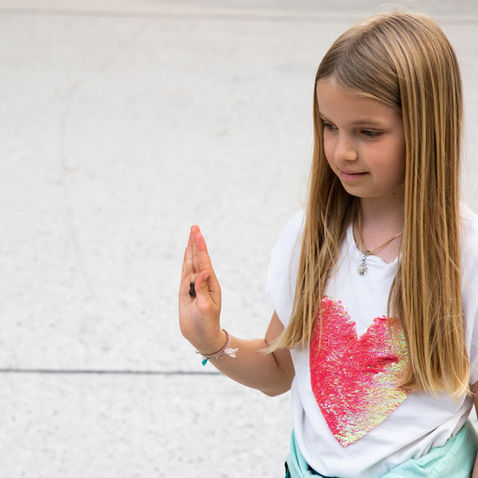 Swiss Dog School - SRF