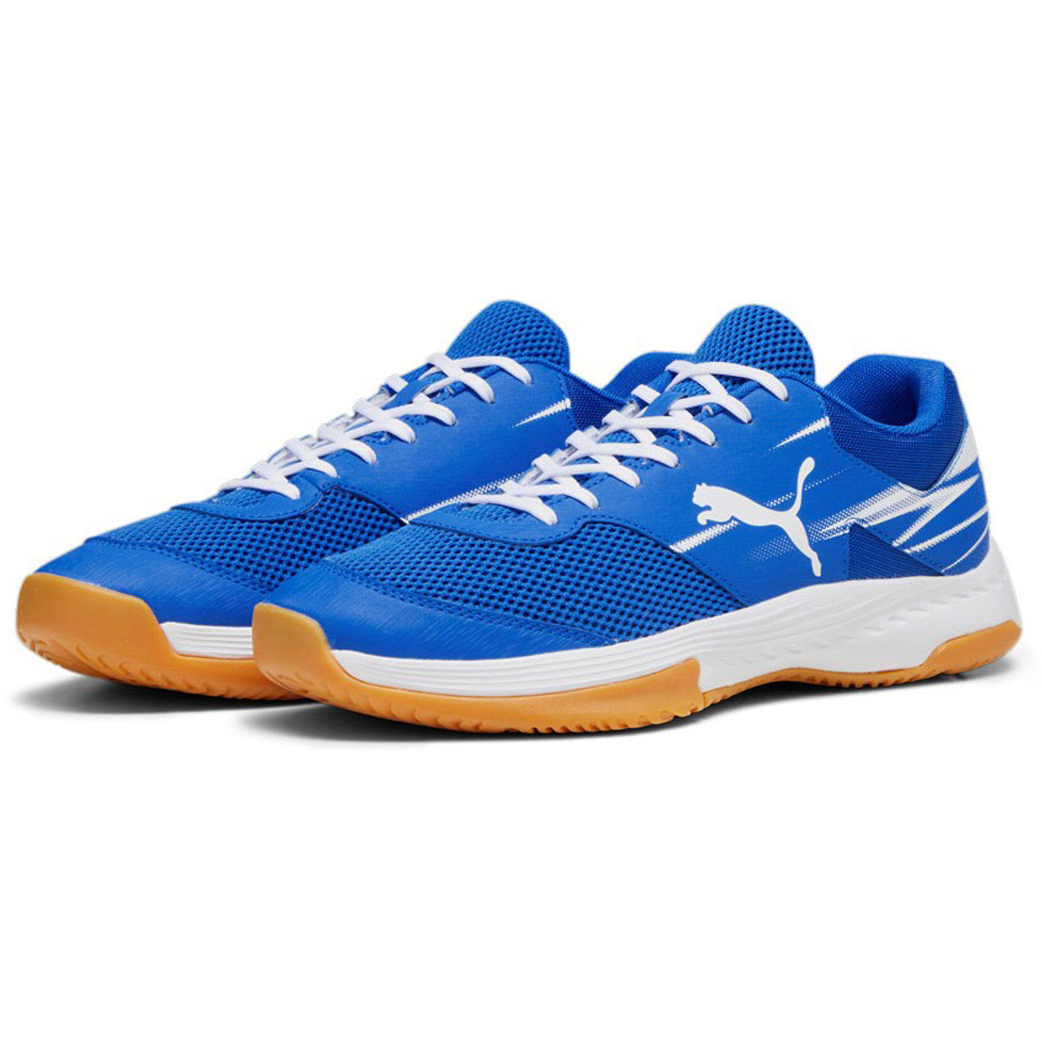 PUMA Varion II Handball Shoes