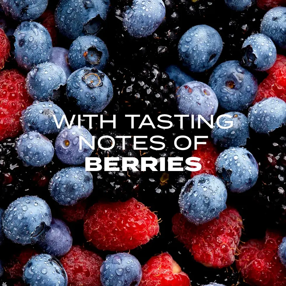 Thumbnail: This is Africa - 50 Capsules