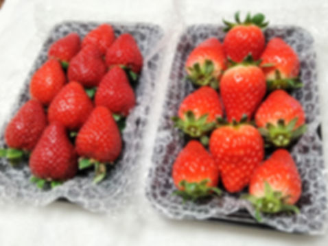 おまかせ4パック（250g×4パック）（送料込）