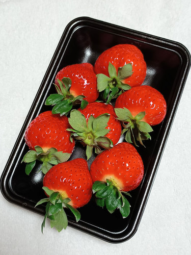 おおきみ2パック（250g×2パック）（送料込） | Berrysville いちご農園