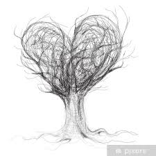 Zdjęcie autora: D.N.