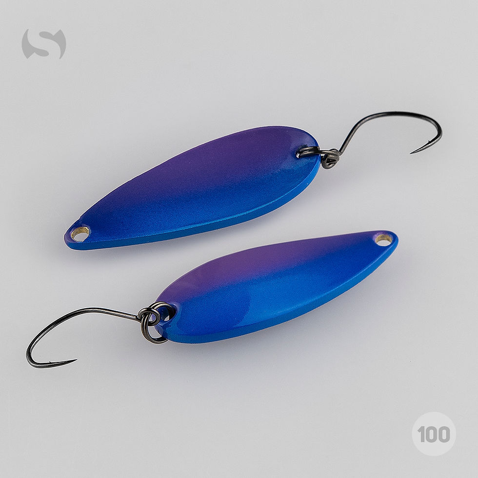 Exsentric 4g колір № 100