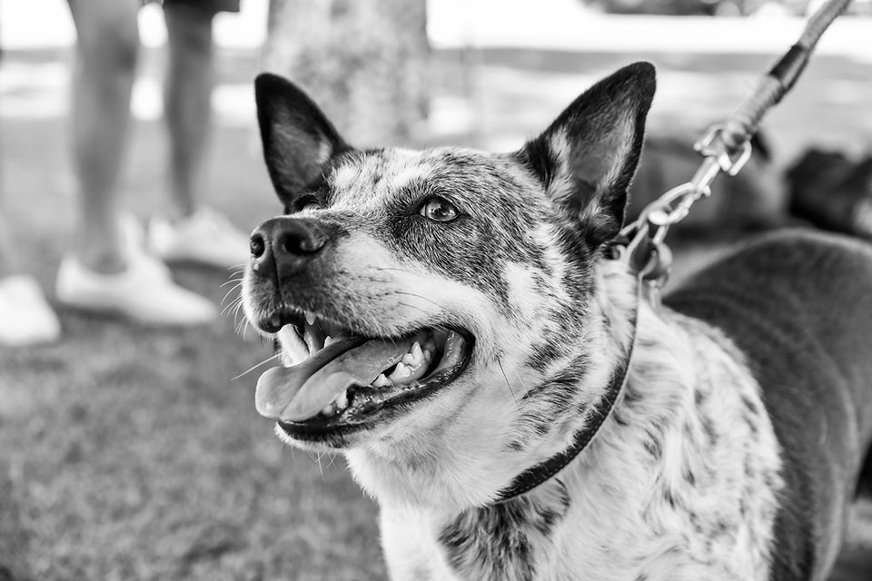DSC_1058-2